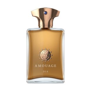 Dia Man EDP 100 Ml for Him by Amouage