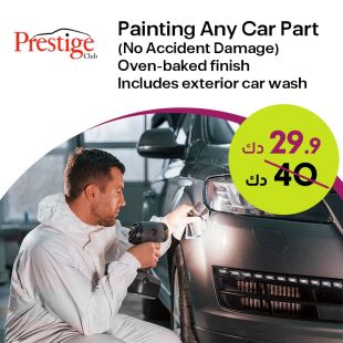 Complete Car Care: Paint Any Panel + Oven Painting + Exterior Wash at Prestige Car Service Center