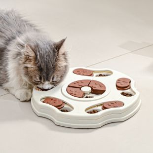 Pentagon Non-Slip Pet Food Bowl