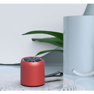 مكبر صوت بلوتوث محمول - ألوان متنوعة