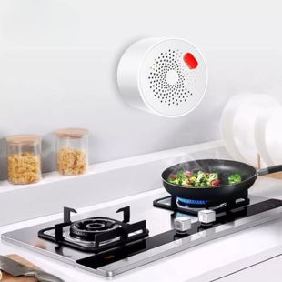 حساس تسرب غاز ذكي WIFI يعمل بالكهرباء