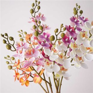 غصن Phalaenopsis صناعي مزدوج