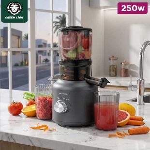 250W Slow Masticating Juicer with Wide Chute by Green Lion