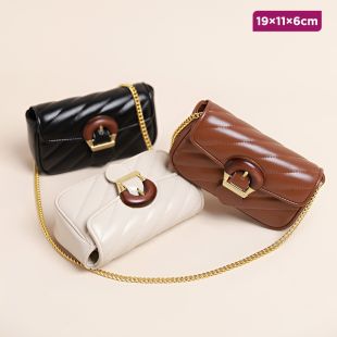 Mini Embroidered Chain Crossbody for Women