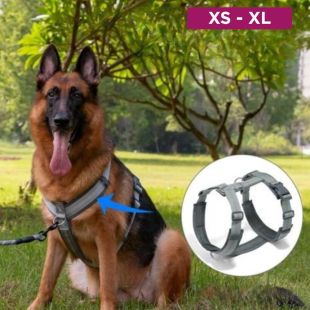 حزام صدر مقاوم للإندفاع للكلاب