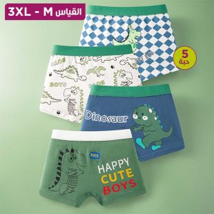 شورت داخلي قطن فاخر ولادي بتصميمات متنوعة - 5 حبة