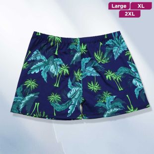 Quick Dry Swim Shorts For Men