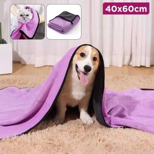 Ultra-Absorbent Pet Towel