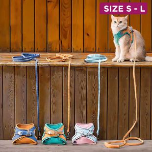 Pet Harness And Leash