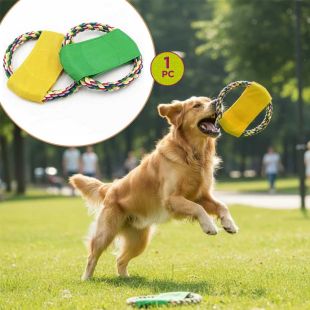 Cotton Flying Disc for Pet Training  - 1Pcs Assorted Colors