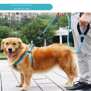 Reflective Dog Leash Training Leash