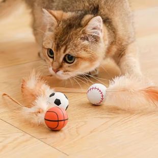 Interactive and Stimulating Ball for Cats