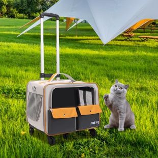 حقيبة ظهر تروللي وعجلات للحيوانات الأليفة