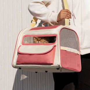 Vibrant Colored Large Pet Backpack