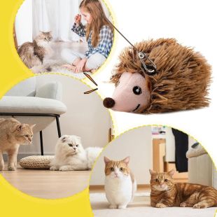 Sensor Sound Pet Toy