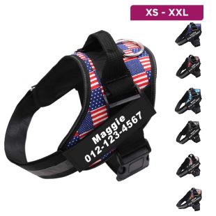 حزام تدريب بتصميم جرافيتي للكلاب