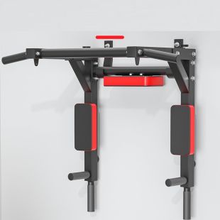 Multifunctional Wall-Mounted Pull-Up and Dip Bar