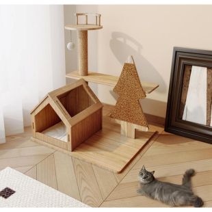 إطار تسلق وخدش للقطط مع بيت