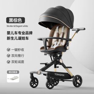 Lightweight Foldable Baby Stroller with Foldable Sunshade