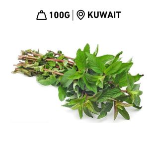 Fresh Kuwaiti Mint Leaves Al Shamiah Farm (100 g Approx.)