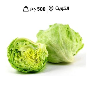 خس كويتي طازج من مزارع الشامية (500 جرام تقريبا)