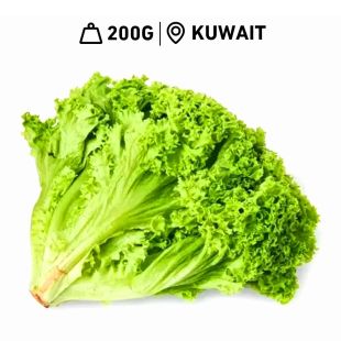 Fresh Kuwaiti Lettuce Lollo Bindo 1 Piece (200 g Approx)