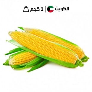 ذرة حلوة كويتية طازجة (1 كجم تقريبًا)