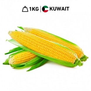Fresh Kuwaiti Sweet Corn (1 kg Approx.)