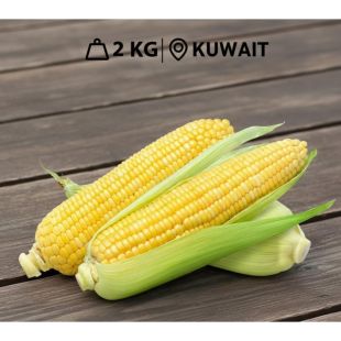 ذرة حلوة كويتية طازجة (2 كجم تقريبًا) 