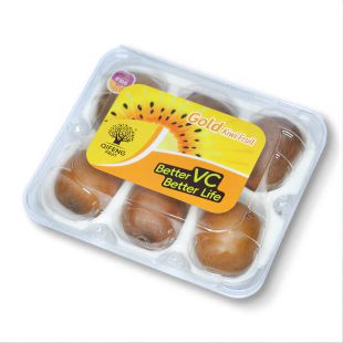 Fresh Golden Kiwi 750 g