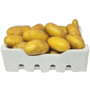 Fresh Kuwaiti Potato 4 - 4.5 KG Approx
