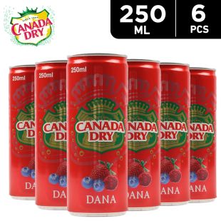 Canada Dry Dana Soda 6 x 250 ml