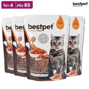 بيست بيت – طعام قطط رطب بالسلمون للبالغين – 85 غرام