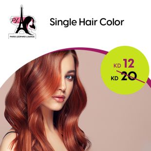 Dye Hair One Color at Paris Leopard Lounge Salon