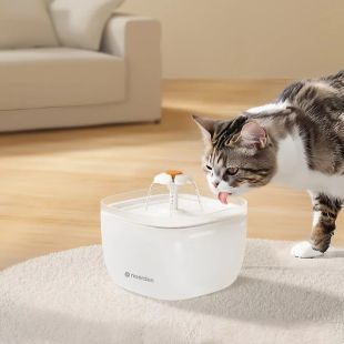 نافورة ماء أوتوماتيكية للحيوانات الأليفة 2 لتر