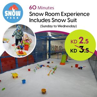 Enjoy 60 Minutes Snow Room or 1 Hour Ice Skating for All Week Days from Snow Park