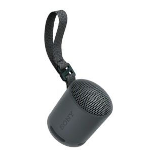 Portable Wireless Speaker with Sound Diffusion Processor by Sony