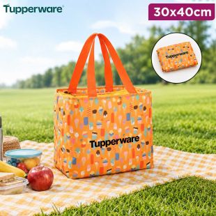 Foldable Picnic Bag 30×40cm by Tupperware