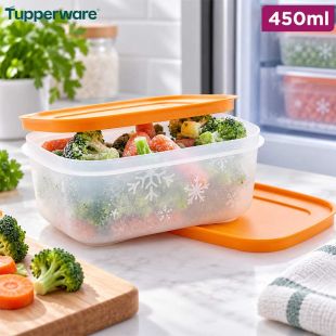 Freezer Food Storage Container 450ml 1 Piece by Tupperware