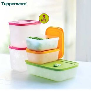 Freezer Food Storage Container Set 5 Pieces by Tupperware