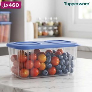 علبة تخزين Clear Mates شفافة 460 مل من Tupperware