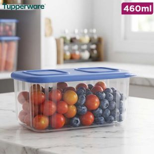 Tupperware Clear Mates Storage Container 460ml
