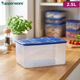 Tupperware Clear Mates Storage Container 2.5L