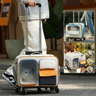 Portable Pets Outing Trolley Suitcase