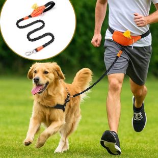 Bungee Dog Leash Manufacturer [115-175]*2.5cm