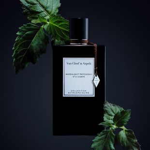 عطر Moonlight Patchouli للرجال والسيدات 75 مل EDP Tester من Van Cleef and Arpels