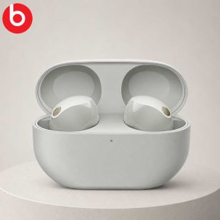 Sony True Wireless Noise Cancelling Earbuds - Silver