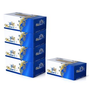 Watani Classic 2-Ply Facial Tissues – 200 Sheets × 5 Boxes