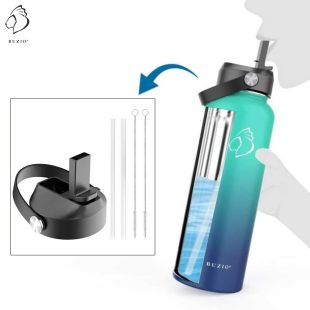 Buzio Universal Straw Lid Set with Straw and Brush