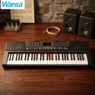 Wansa 61 Keys Musical Keyboard 255 Timbres with LED Display